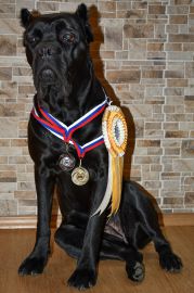 DSC_1646kopie