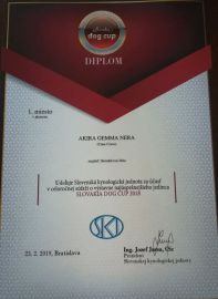 dhdzs