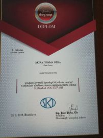 dmvuuk