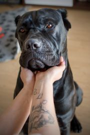 DSC_0776kopie